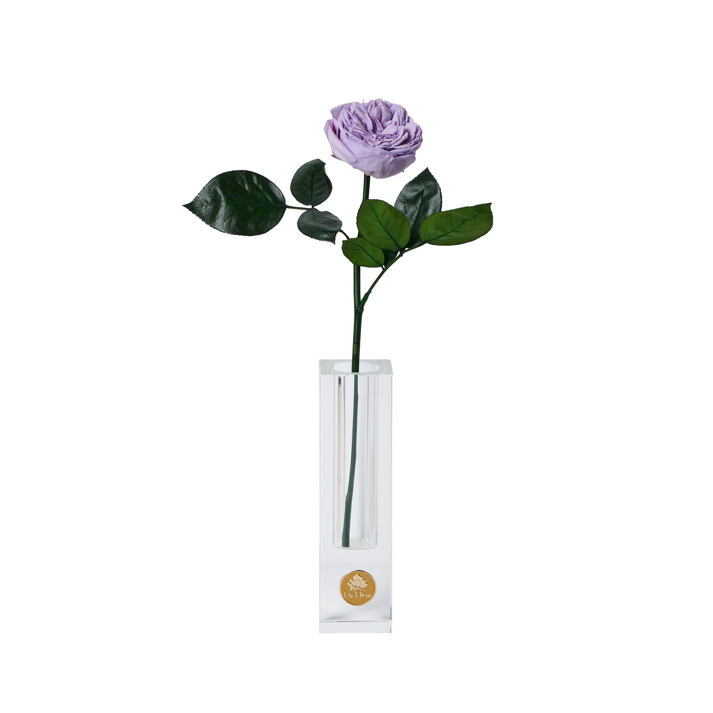 Birth Flower Stem Glass Vase 