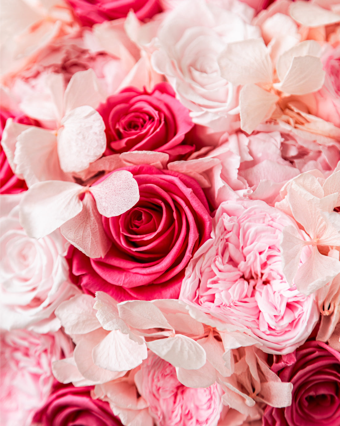 Jardin Bowl - Pink by La Fleur Lifetime Flowers