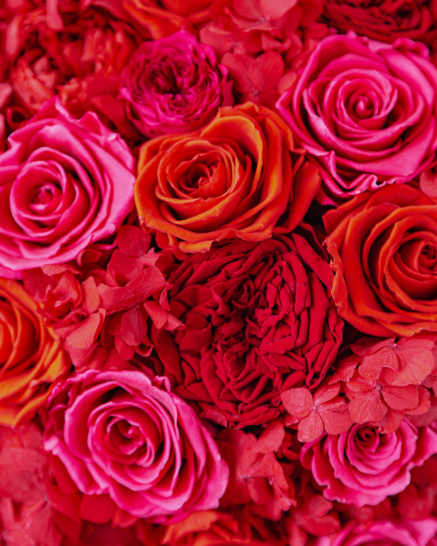 Creme Jardin Petite Dôme - Red by La Fleur Lifetime Flowers