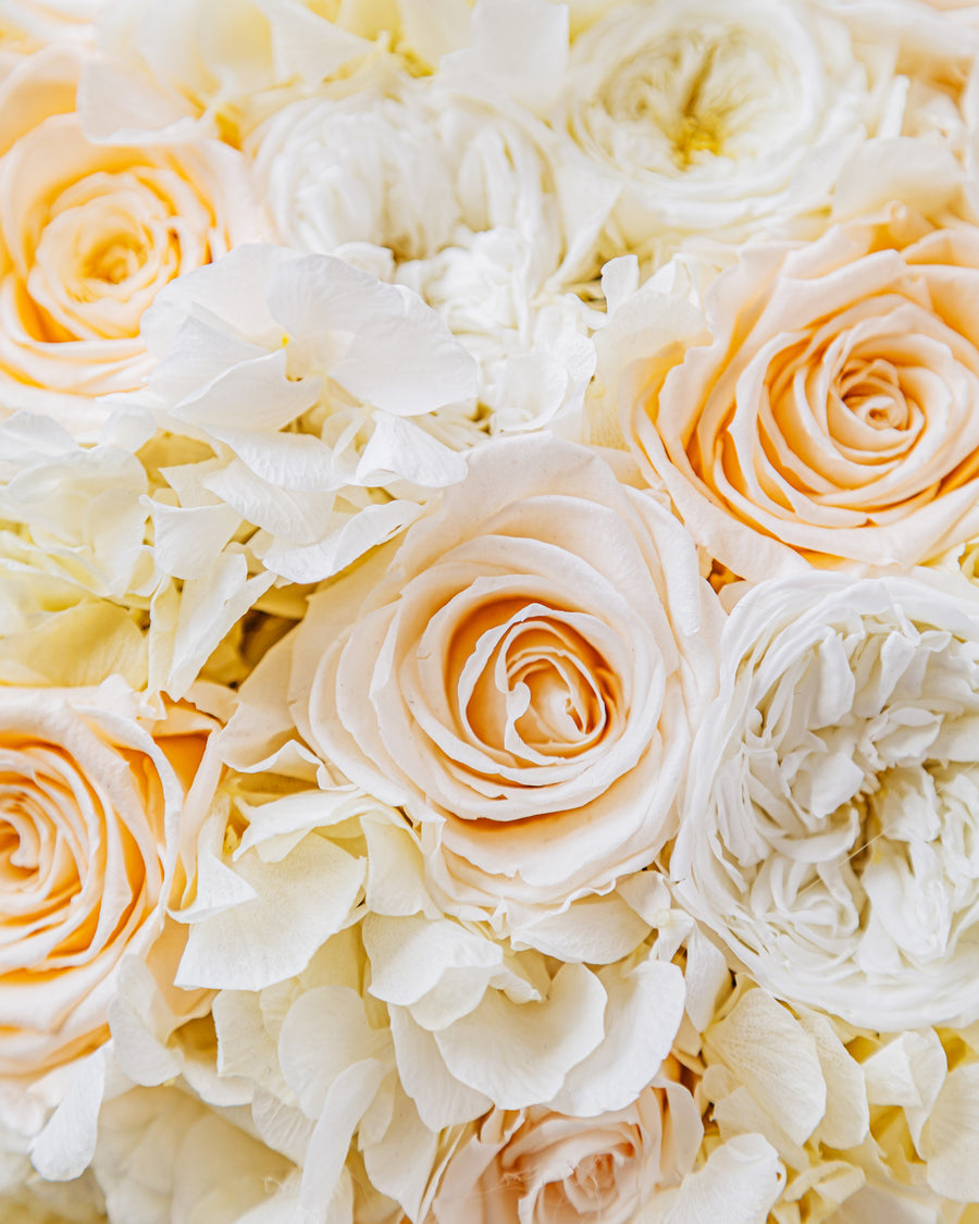 Creme Jardin Dôme - White by La Fleur Lifetime Flowers