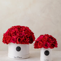 Jardin Petite Dome - Red by La Fleur Lifetime Flowers