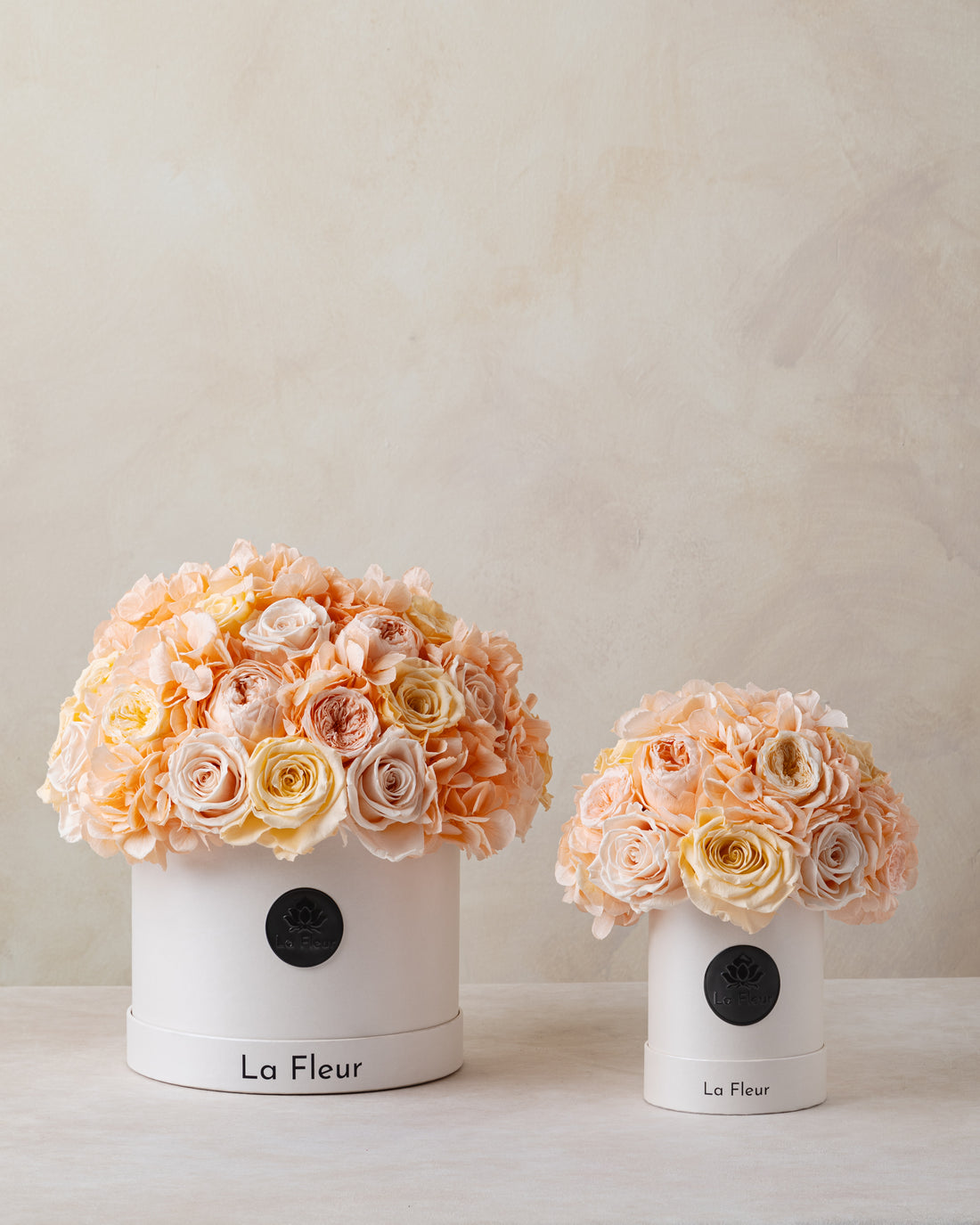 Jardin Petite Dome - Peach by La Fleur Lifetime Flowers