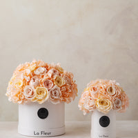 Jardin Dome - Peach by La Fleur Lifetime Flowers