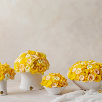 Creme Jardin Petite Dôme - Yellow by La Fleur Lifetime Flowers