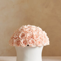 Grande Creme Rose