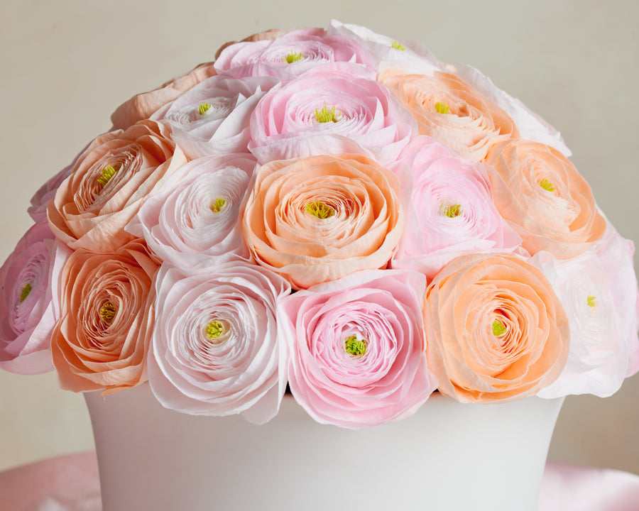 Grande Creme Ranunculus