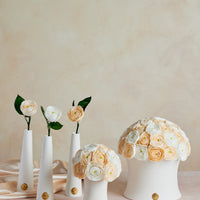 Grande Creme Ranunculus