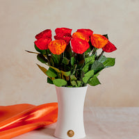 Creme Dozen Ranunculus