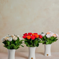 Creme Dozen Ranunculus