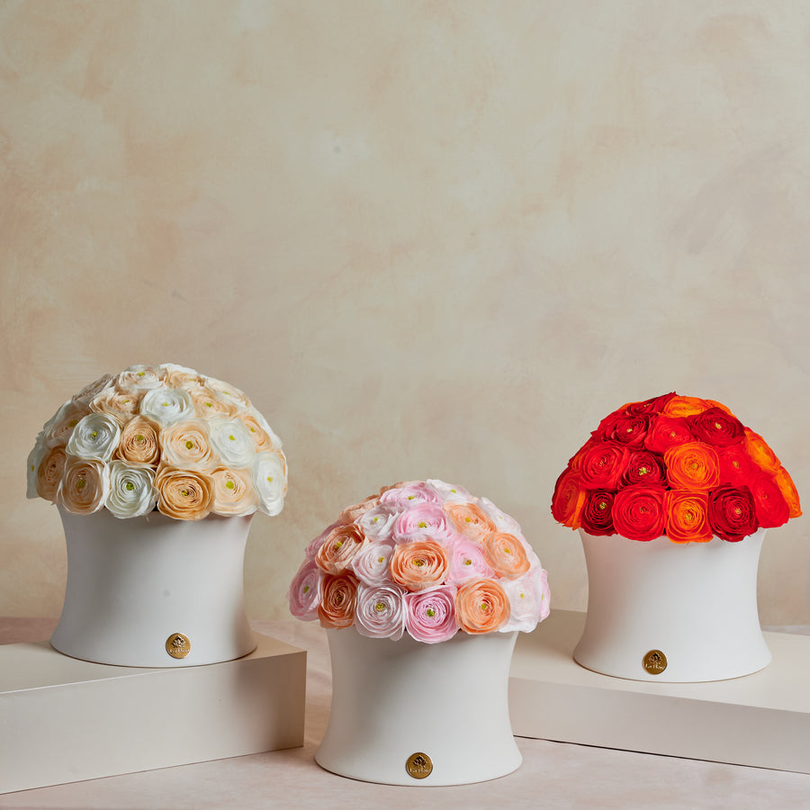 Grande Creme Ranunculus