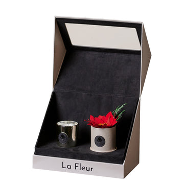 Poinsettia Gift Set