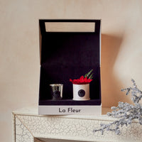 Poinsettia Gift Set