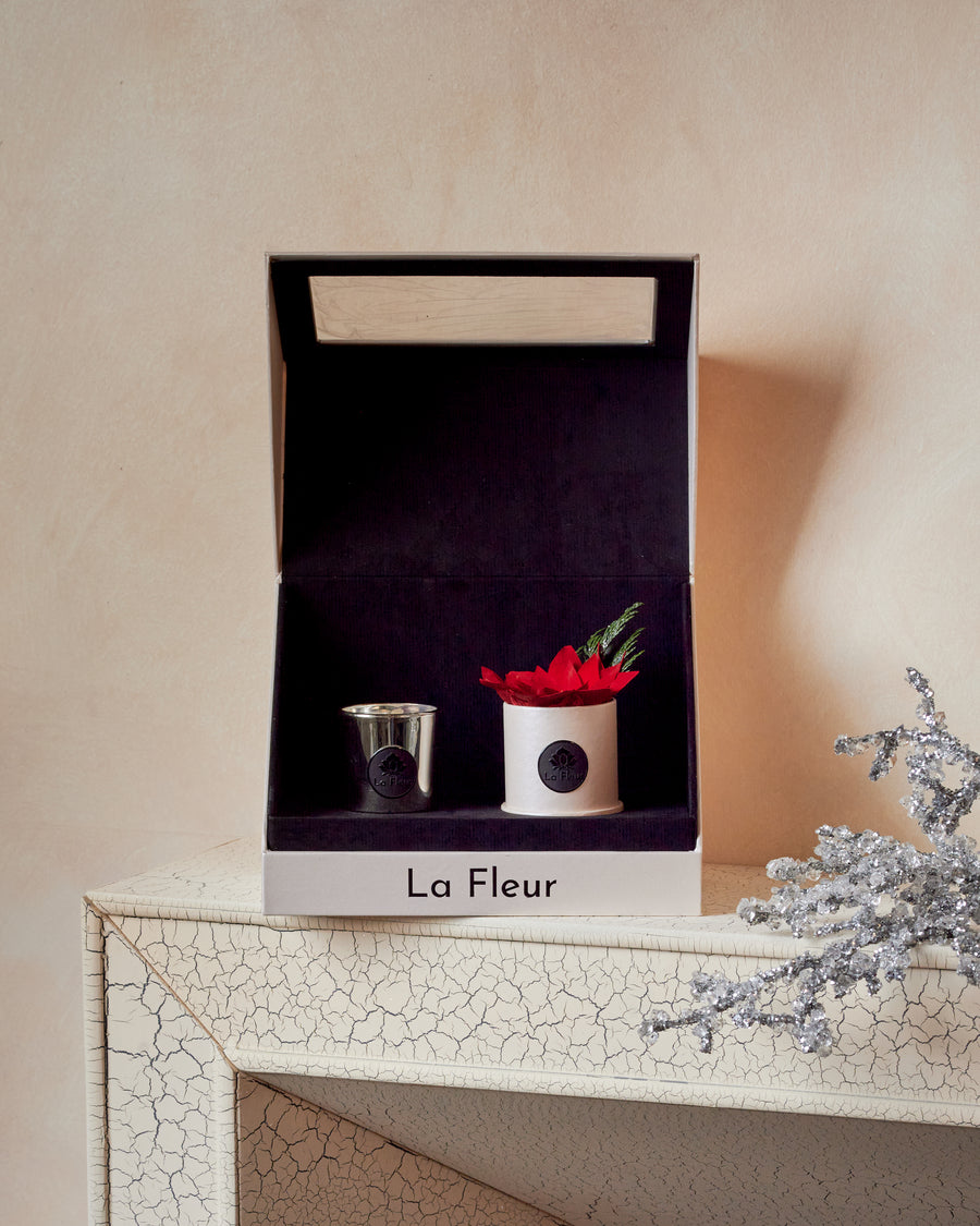 Poinsettia Gift Set