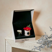 Poinsettia Gift Set