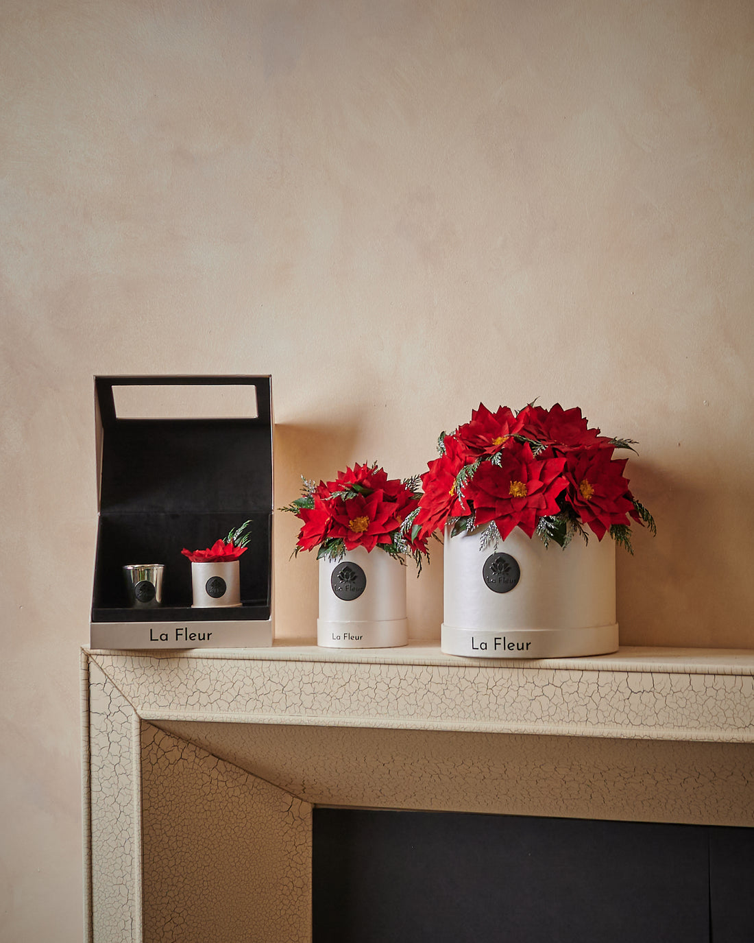 Poinsettia Gift Set