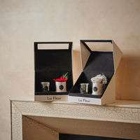 Poinsettia Gift Set